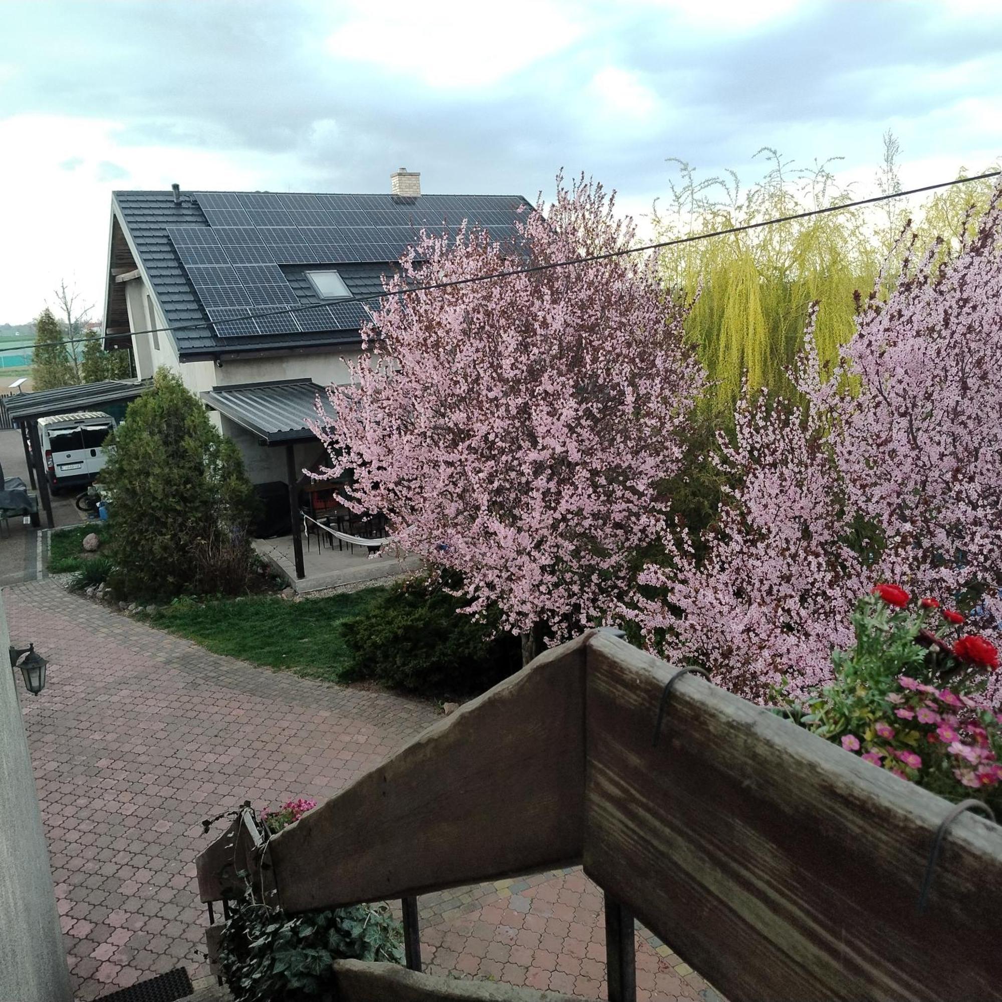 Apartament Pod Toruniem Grebocin  Dış mekan fotoğraf